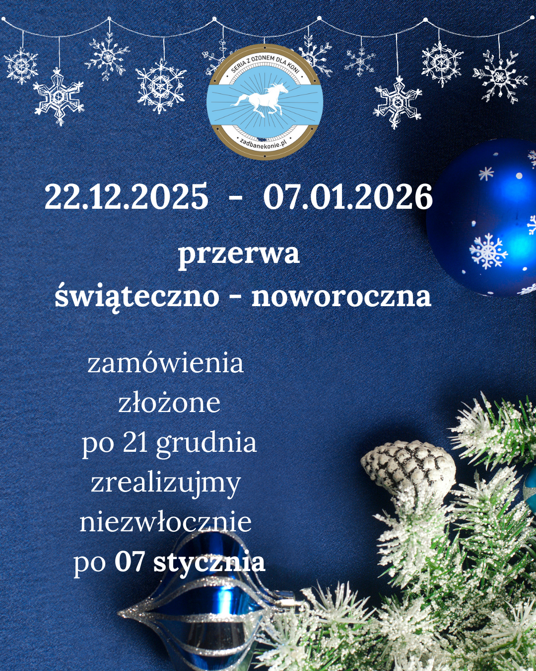 przerwa świąteczno - noworoczna.png